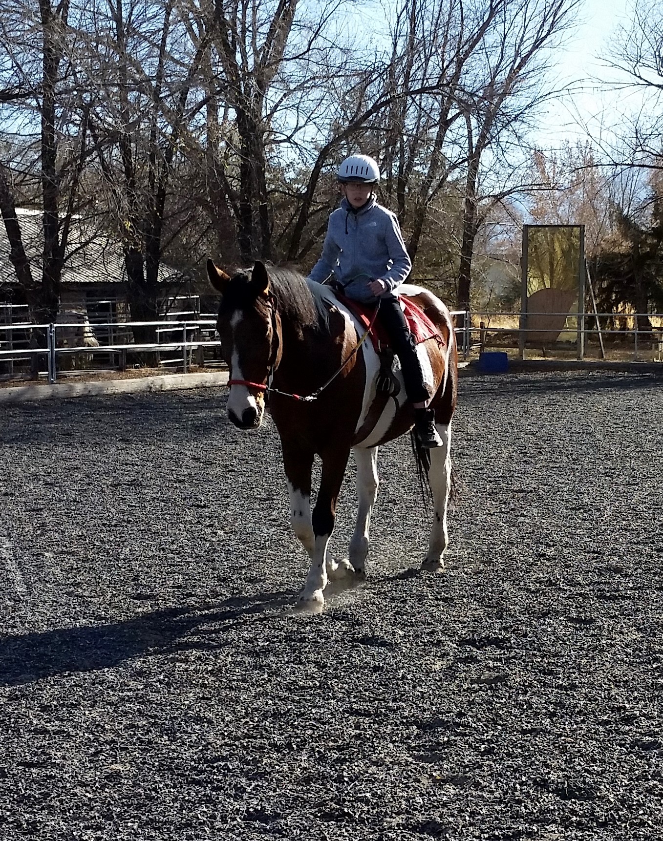 we-appreciate-your-support-nevada-equine-assisted-therapy