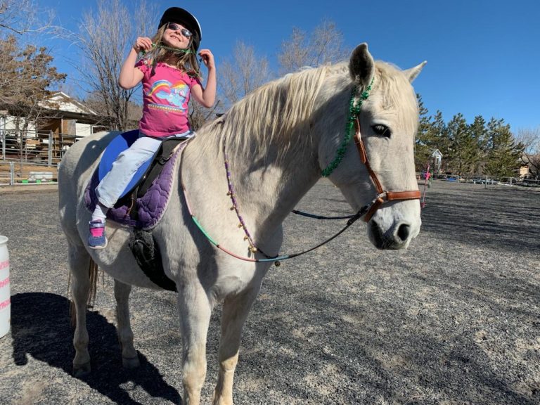 why-work-with-horses-is-so-powerful-nevada-equine-assisted-therapy